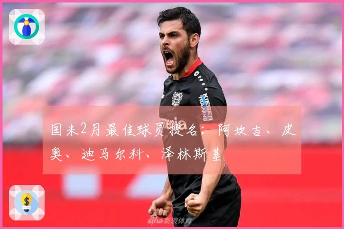 国米2月最佳球员提名：阿坎吉、皮奥、迪马尔科、泽林斯基