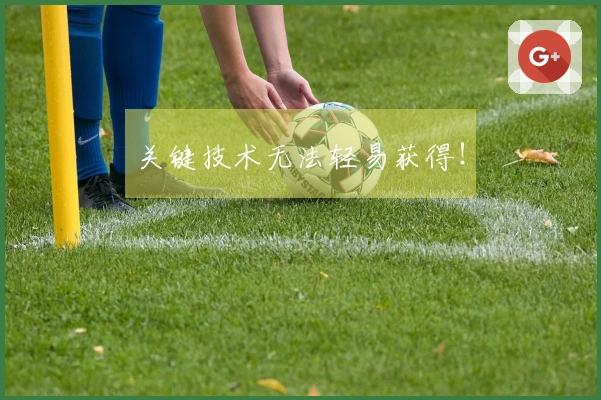 关键技术无法轻易获得！